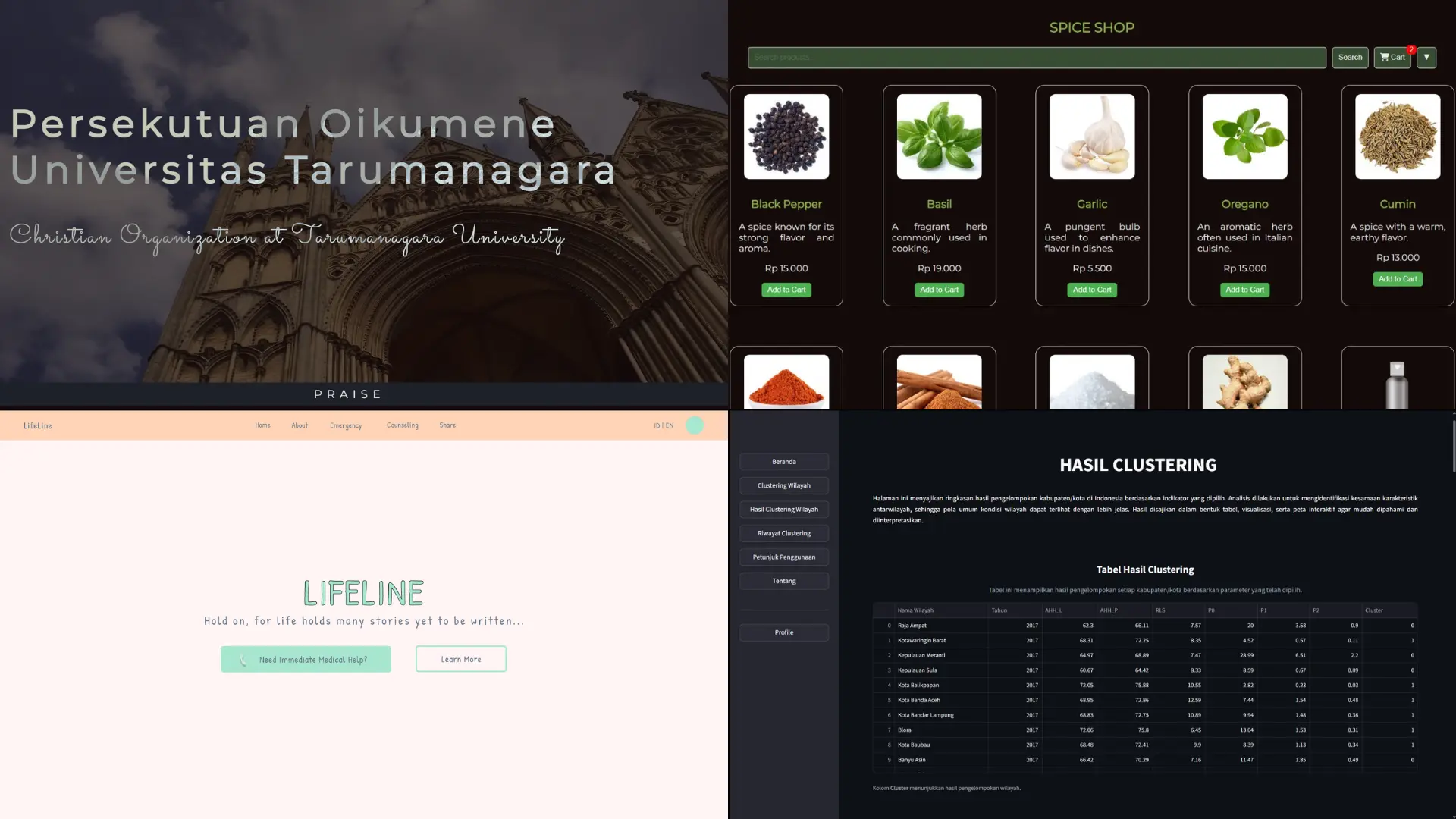 Web Application & SaaS Platform